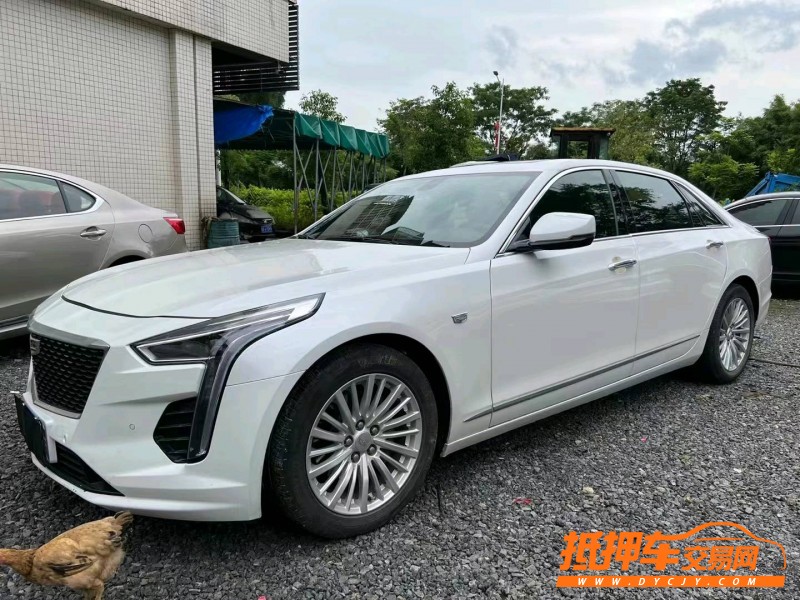 汕頭20年凱迪拉克CT62