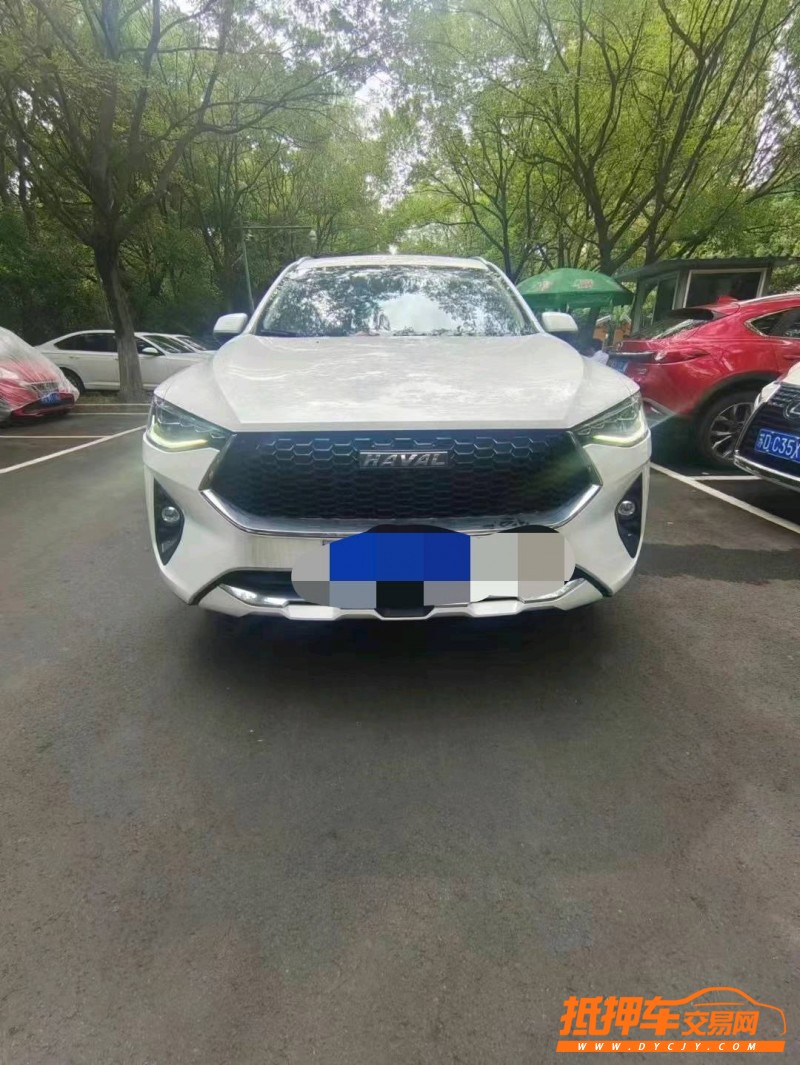 潍坊19年哈弗F71