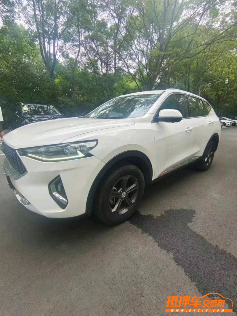 潍坊19年哈弗F75