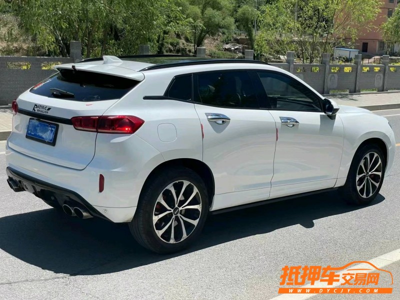 渭南17年長城汽車WEY VV74