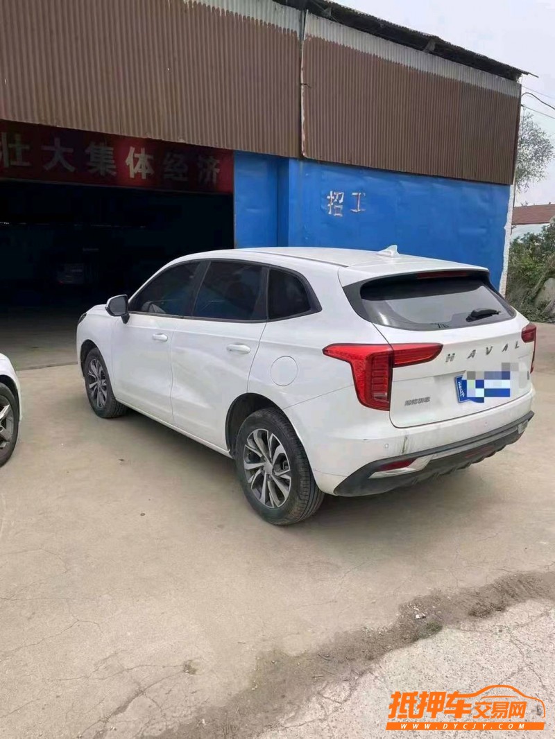 濟寧21年哈弗初戀8