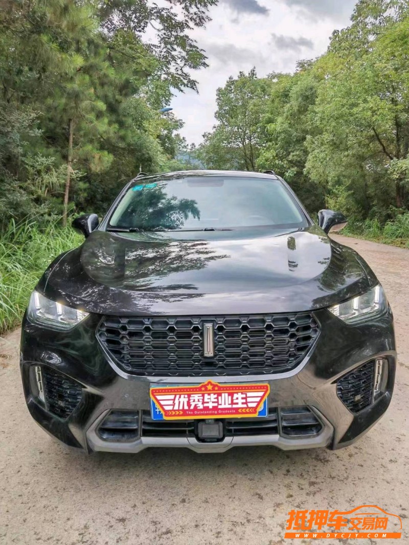 萍鄉18年長城汽車WEY VV51