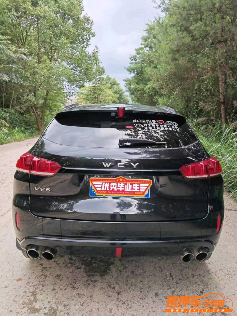 萍鄉18年長城汽車WEY VV52