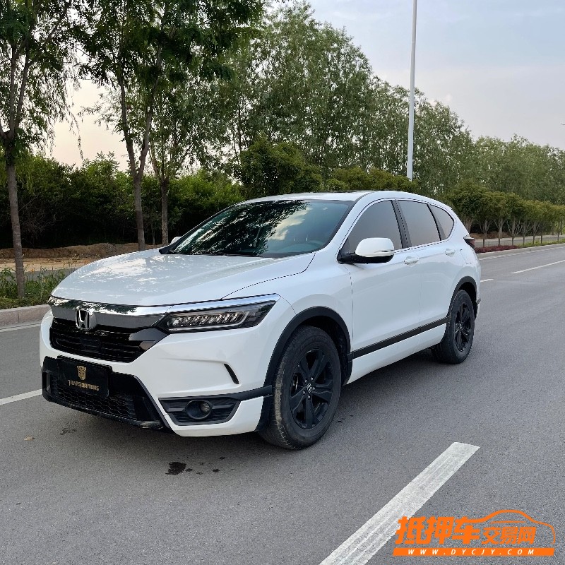 枣庄20年本田皓影7