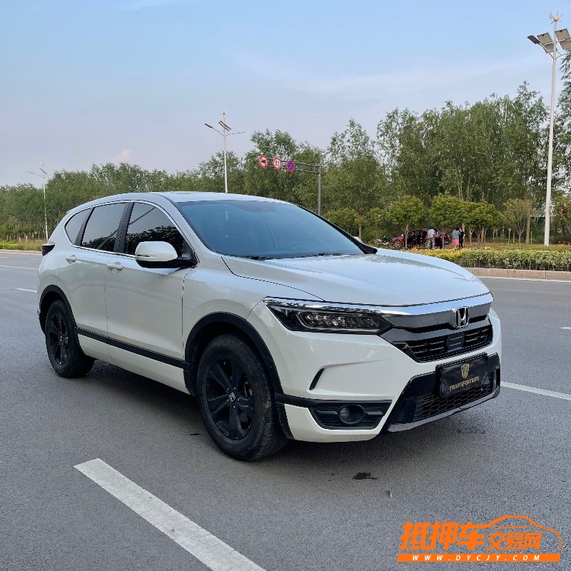 枣庄20年本田皓影8