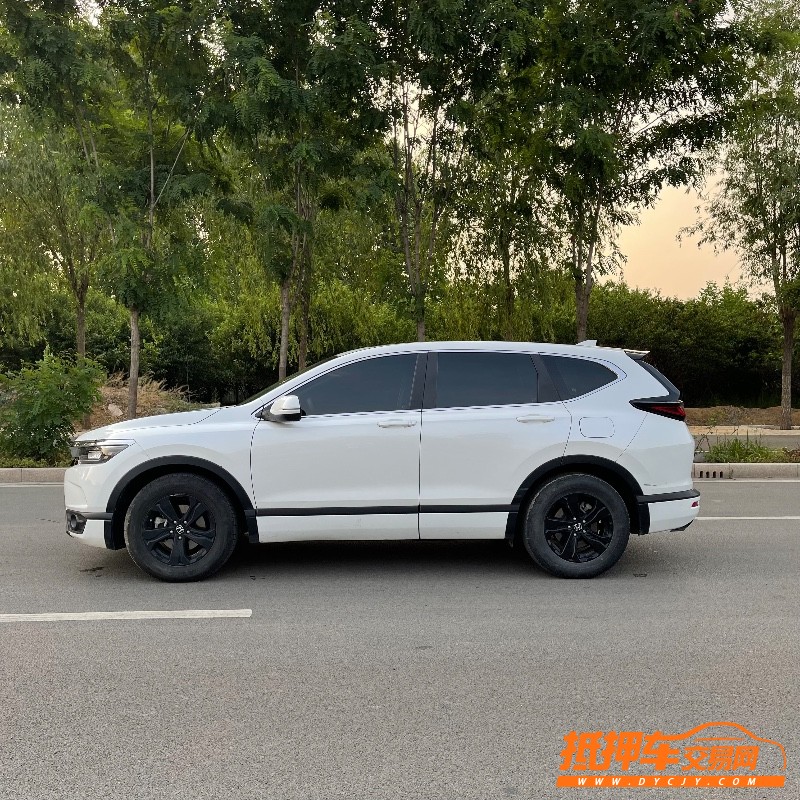 枣庄20年本田皓影6