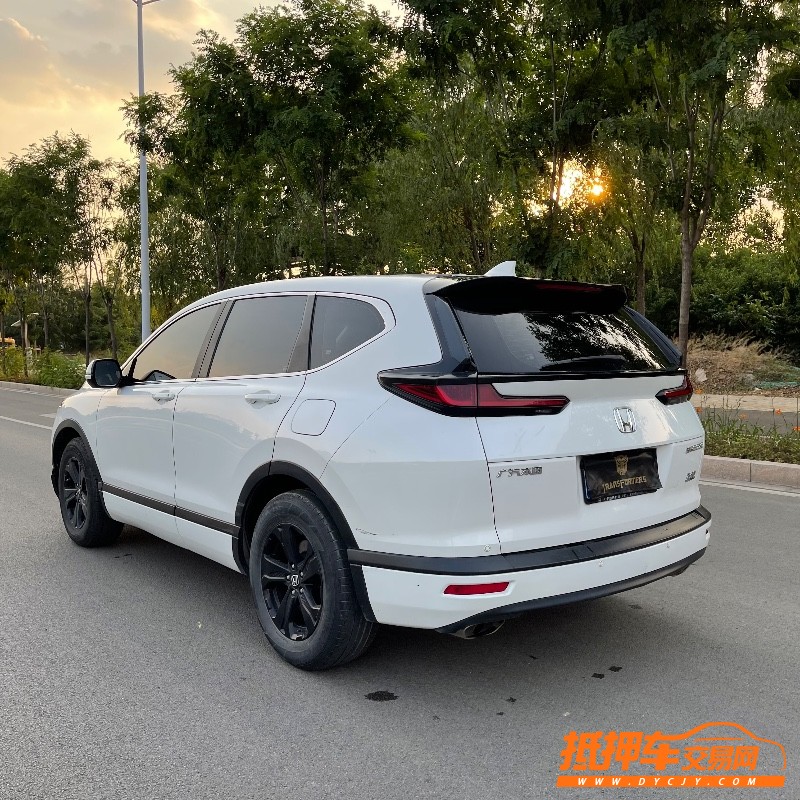 枣庄20年本田皓影4