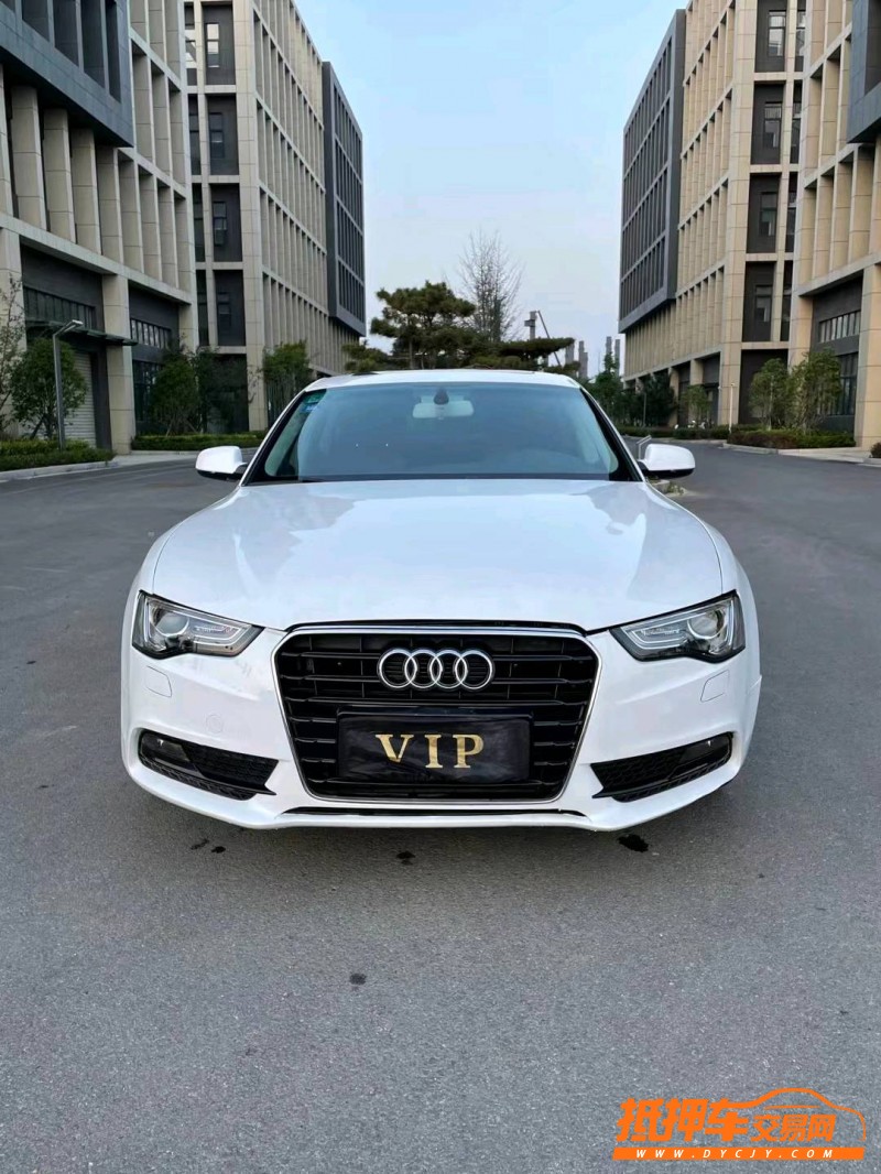 徐州14年奥迪A51