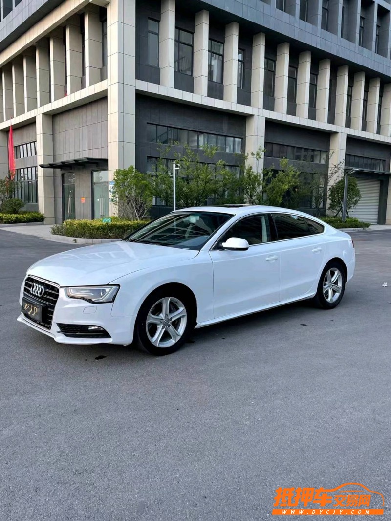 徐州14年奥迪A52