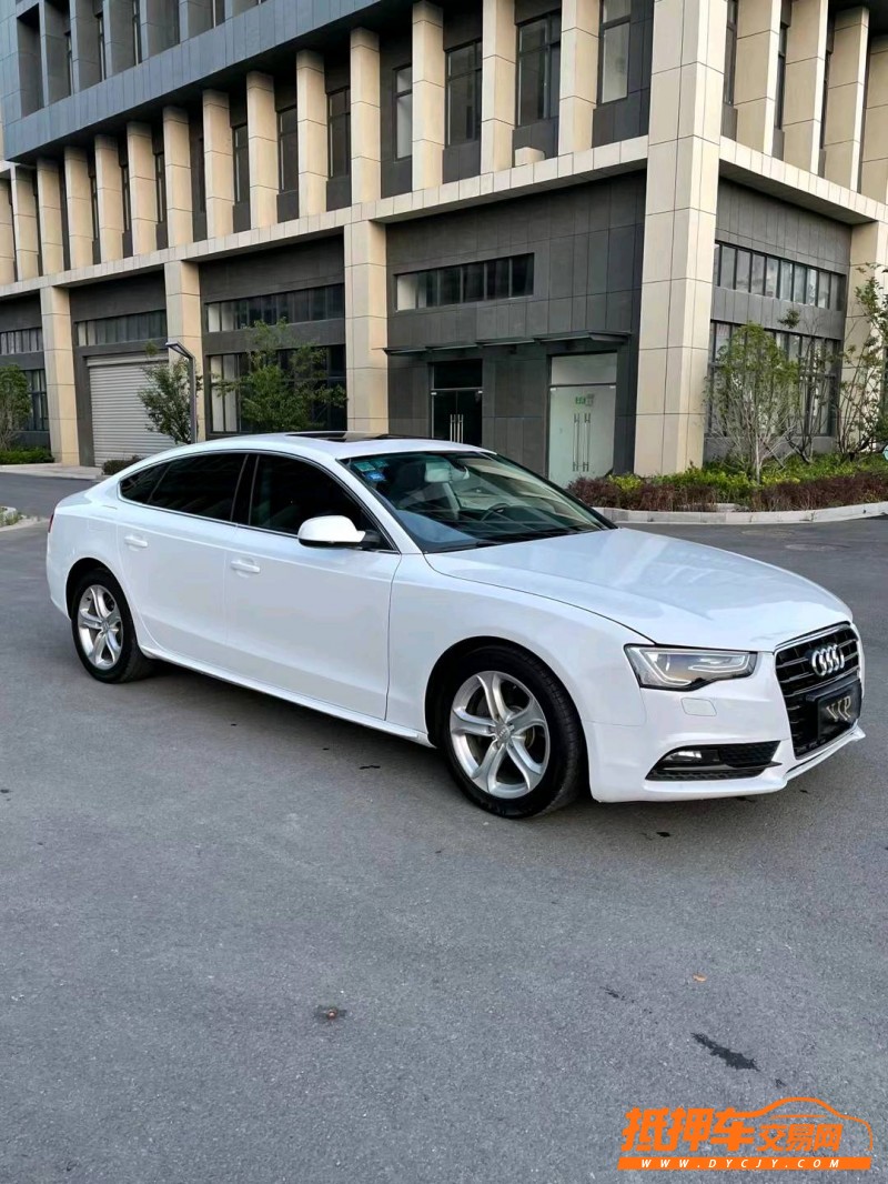 徐州14年奥迪A53