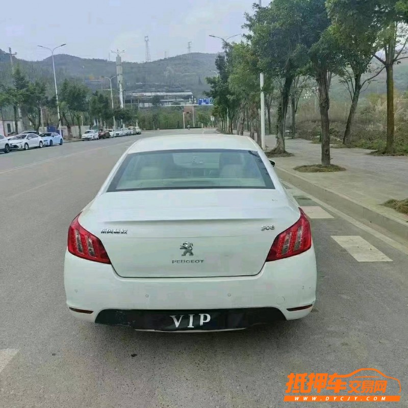 黔西南12年標致5082