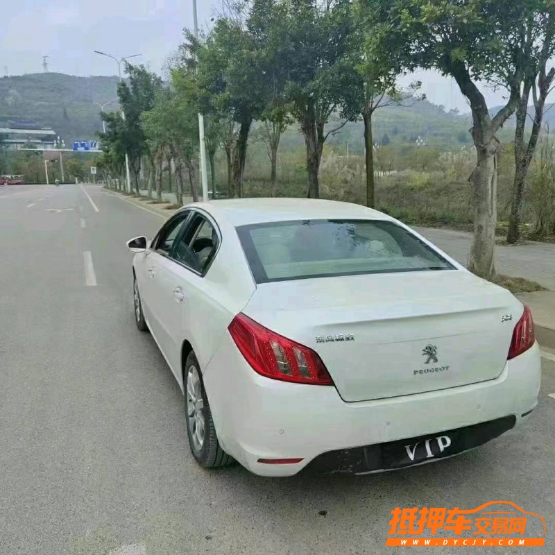 黔西南12年標致5083