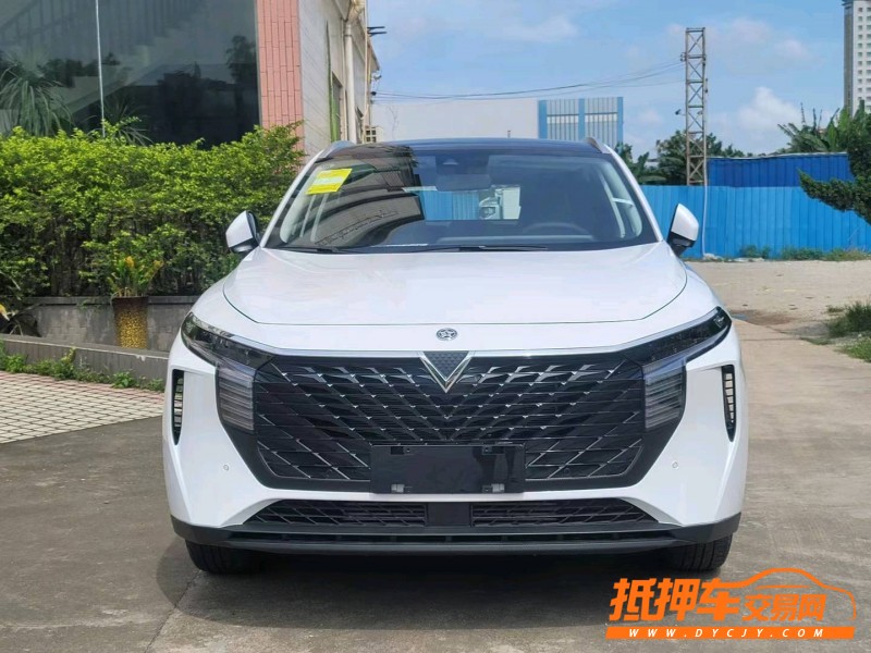 東莞22年啟辰ViWa1