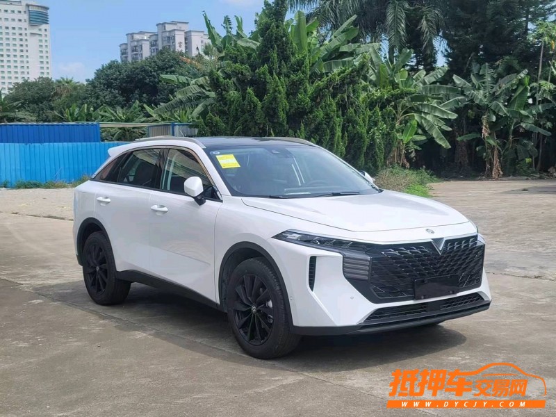 東莞22年啟辰ViWa3