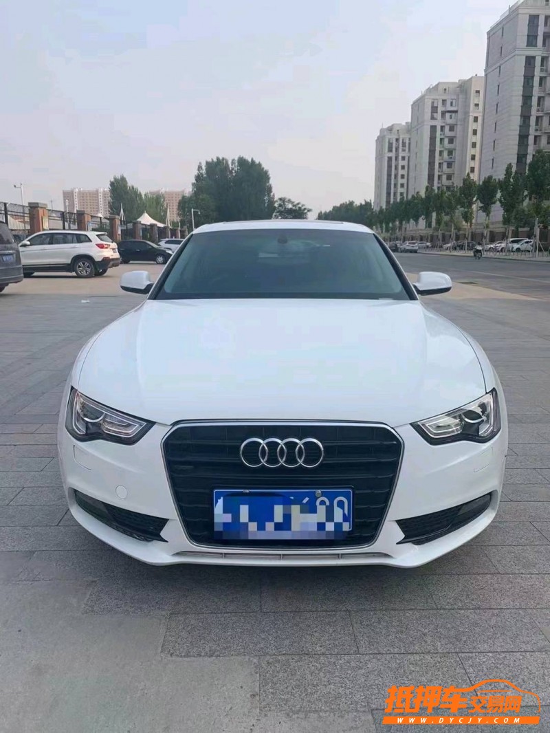 潍坊15年奥迪A51