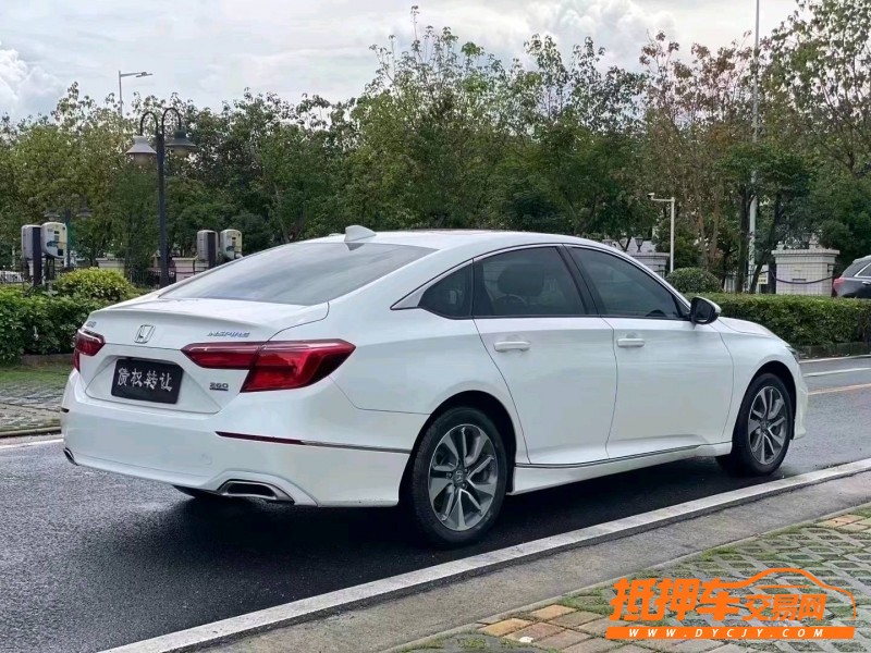 中山19年本田英诗派5