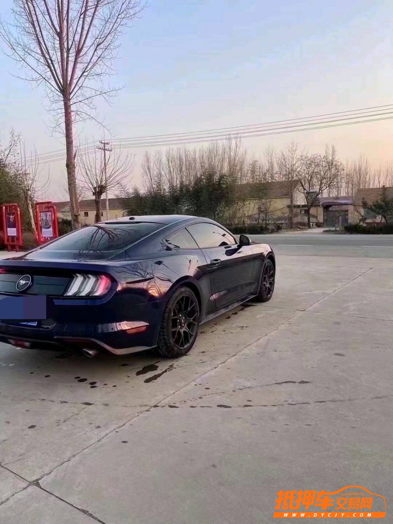 烟台19年福特野马3