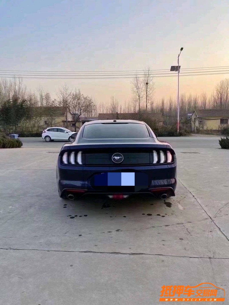 烟台19年福特野马6