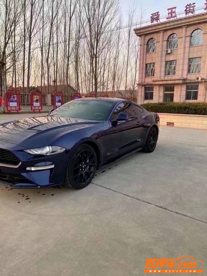 烟台19年福特野马8