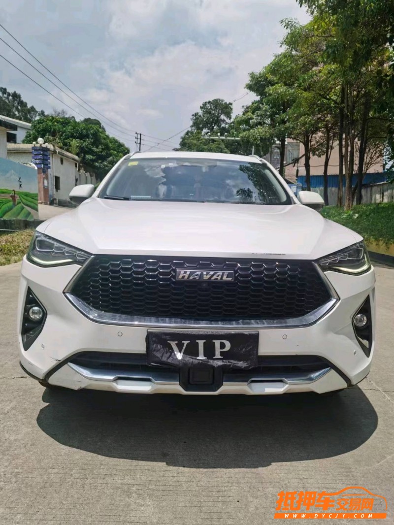 东莞19年哈弗F7x1