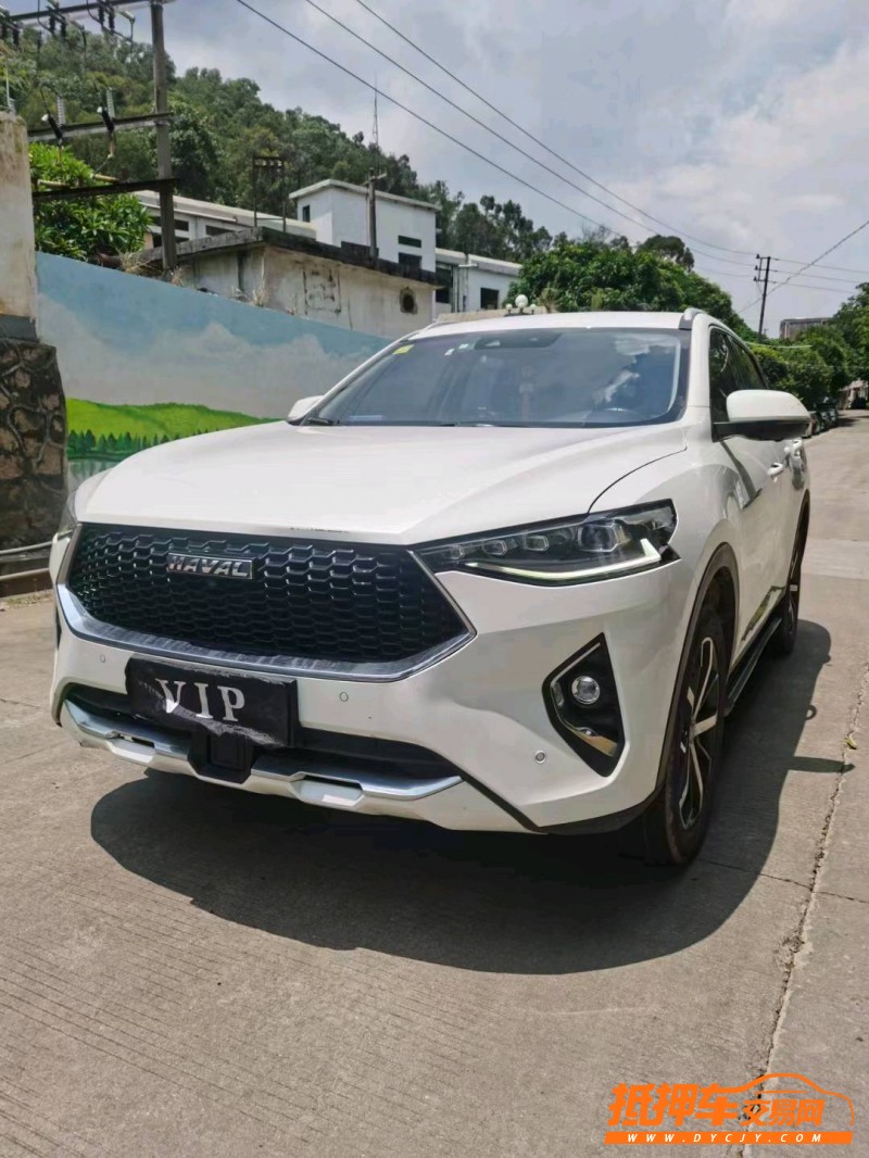 东莞19年哈弗F7x2