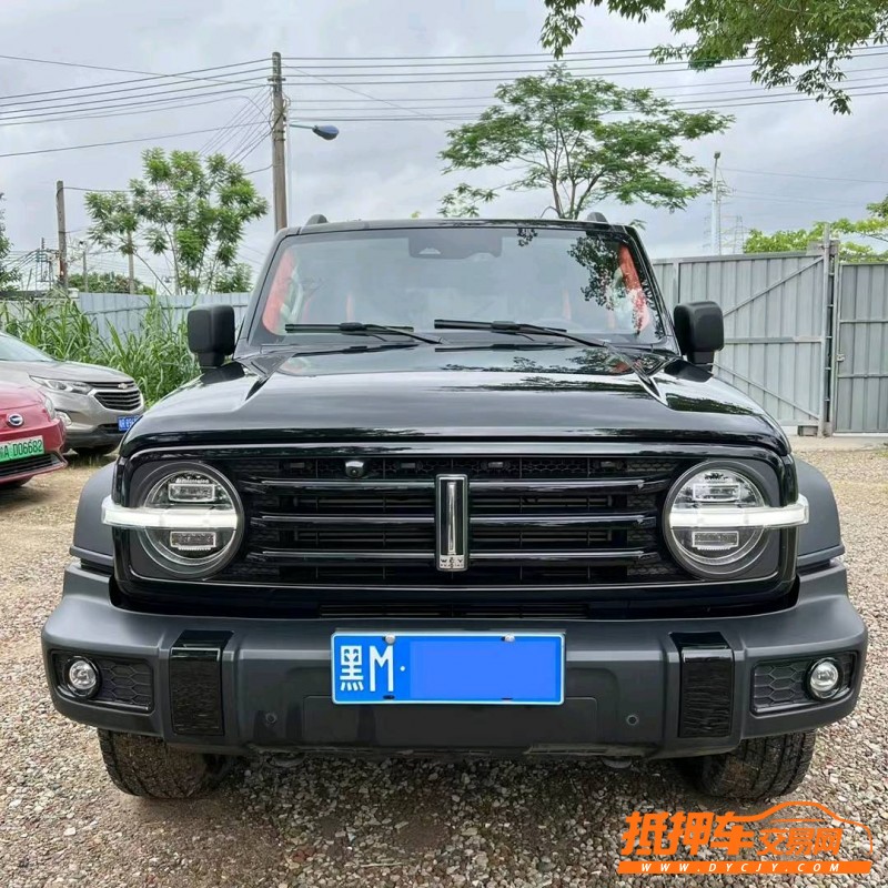 廣州21年長城汽車坦克3001