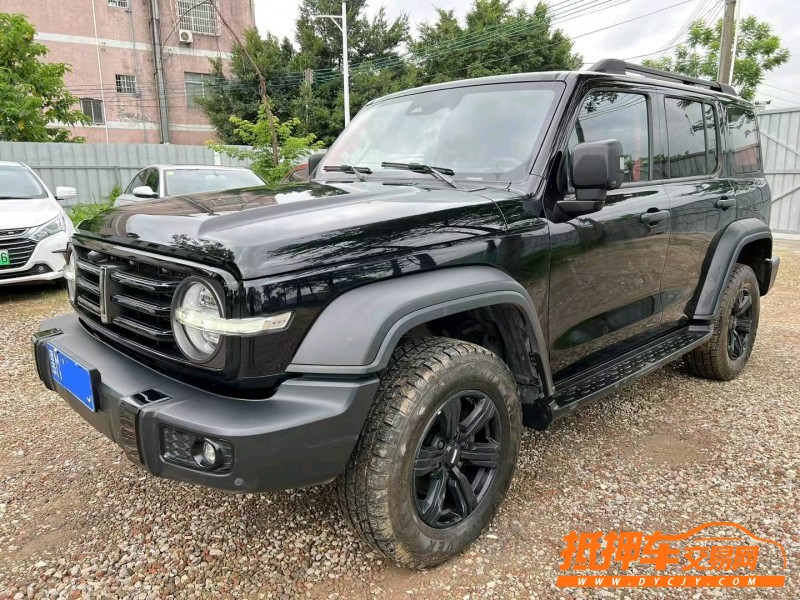 廣州21年長城汽車坦克3003