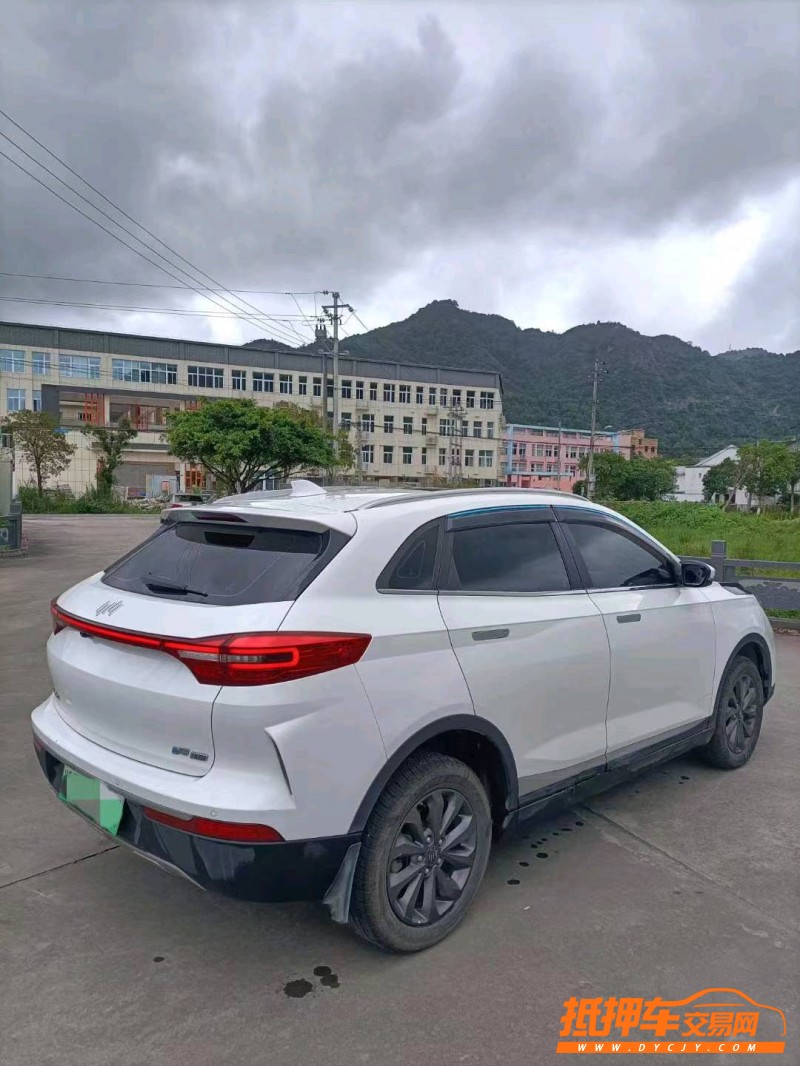衡陽20年威馬汽車EX-56