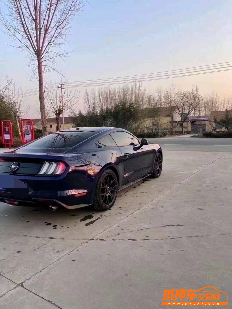 潍坊19年福特野马3
