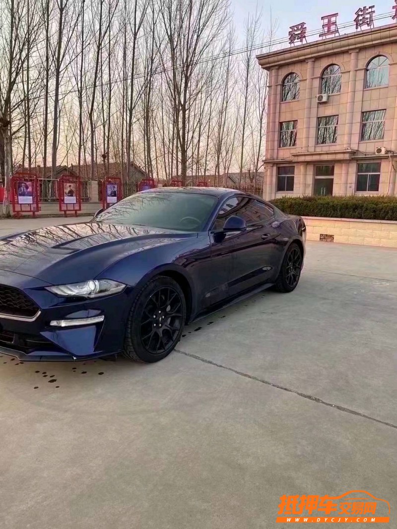 潍坊19年福特野马8