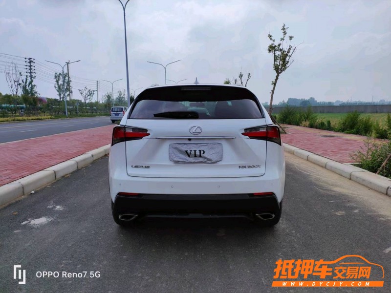 濮陽16年雷克薩斯NX9
